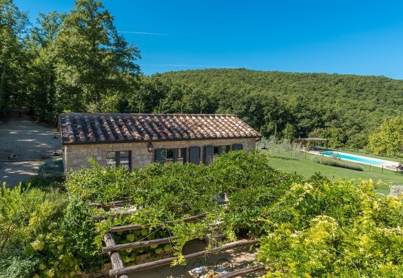 Il parco che abbraccia la residenza misura circa 4000 mq - Muffato