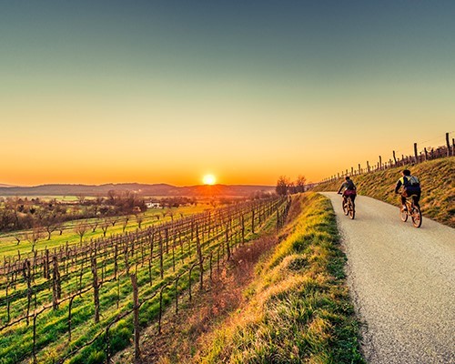 Cycling and Cooking Pizz-E-Bike