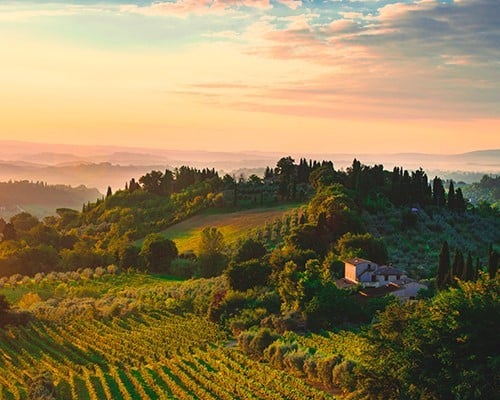 Florence hills bike tour: “Discover by bike the secrets of Fiesole Villa Demidoff and its giant Colosso dell'Appennino”.