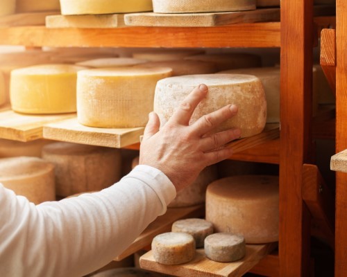 Dairy farm tour and Parmigiano Reggiano tasting