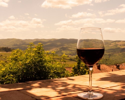 Degustazione di vino biologico & prodotti locali