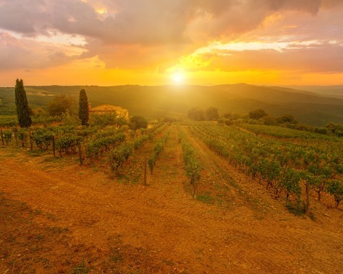 Degustazione Bio & visita alla Fattoria
