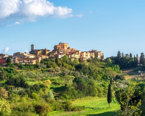 Pasta factory, butcher, castle experience in Lari with lunch