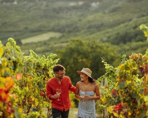 Giornata in cantina a Monteriggioni