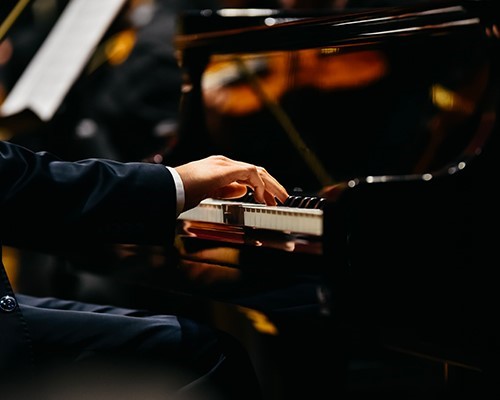 Musica in villa - Solista