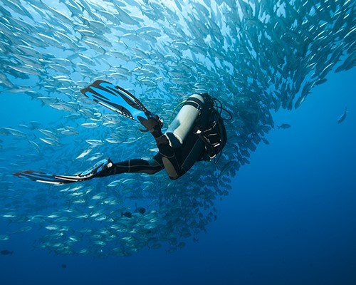 Baptism of the Sea – Scuba Diving in Sicily