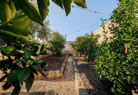 A haven of relaxation that offers a magnificent view of the lush garden - Opuntia Trulli e Lamie