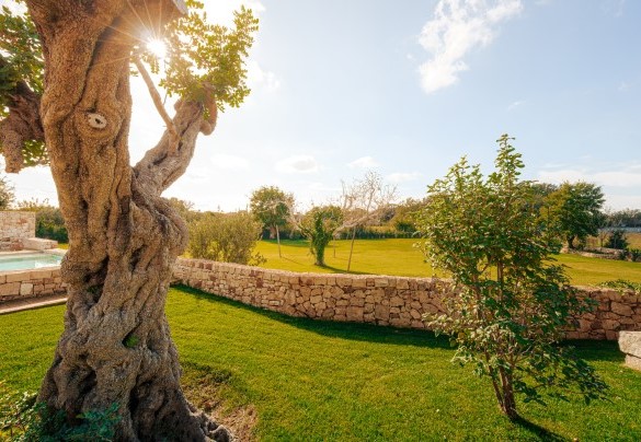 Incorniciata da un parco con prati e una rigogliosa vegetazione di agrumi e ulivi - Opuntia Trulli e Lamie