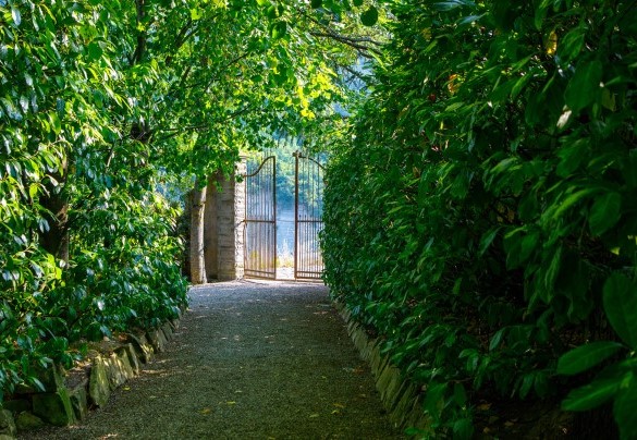 Il vialetto di ingresso è anch'esso immerso nel verde - Pieve del Borgo