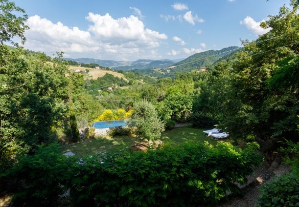 3.000 mq curati a giardino privato ove sono presenti diverse varietà di alberi ad alto fusto - Pieve del Borgo