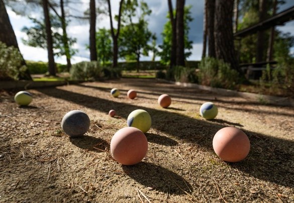 Un campo da bocce nella ombreggiata pineta - Podere Bellaria