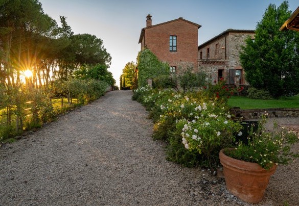 Ciuffi di lavanda e filari di rose bordano i vialetti interni che conducono alle zone attrezzate.   - Podere Bellaria