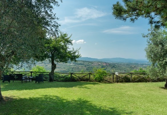 Decorano il giardino ben curato, di circa 900mq, cipressi, ulivi, piante aromatiche come il rosmarino, bellissime rose e alberi da frutto in particolare un grandissimo kiwi - Podere Belvedere