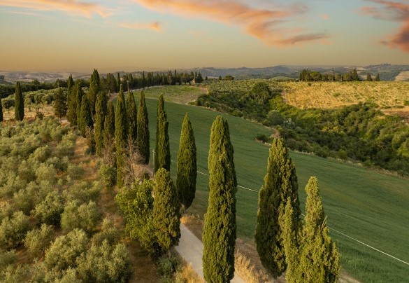 The unmistakable landscapes south of Siena - Podere Casanovina