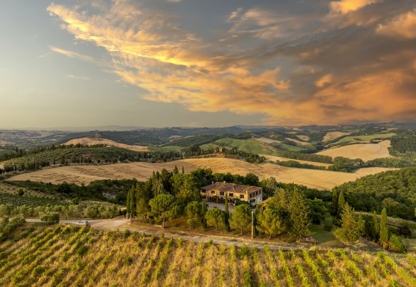 In the heart of the Sienese countryside, about 6 km from the village of Buonconvento - Podere Casanovina