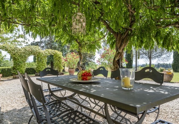 Naturally shaded pergolas - Podere Casanovina