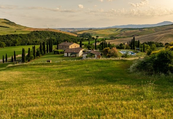 Grandi distese a prato dominano il giardino - Podere Collelungo