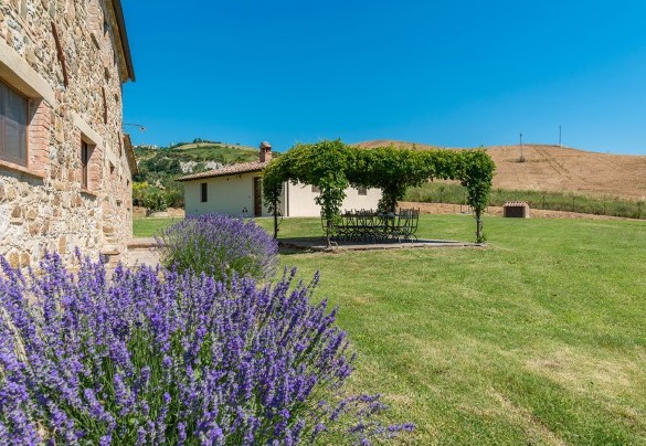 Il parco delimitato da cipressi, olivi, corbezzoli, oleandri, cespugli di rose e rosmarini - Podere Collelungo