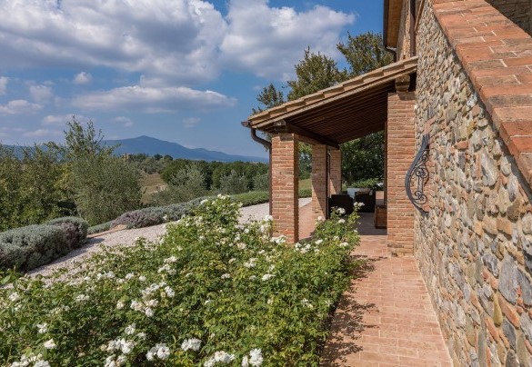 Cespugli di rose bianche bordano la facciata anteriore del casale – Podere di Salci