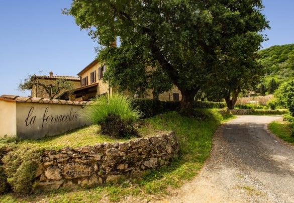 Il viale d'ingresso – Podere Fornacchia 