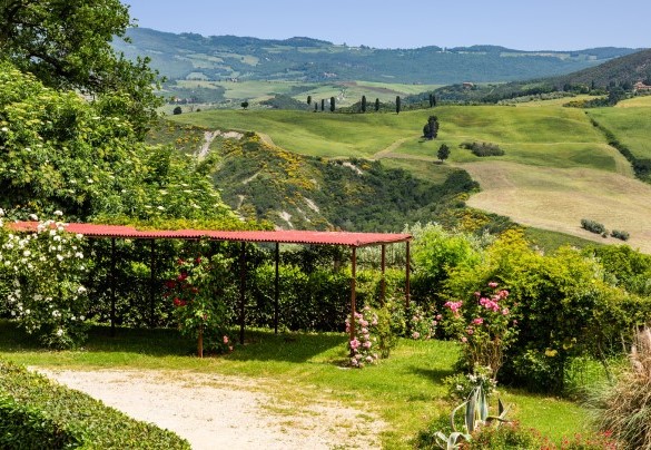 La comoda area parcheggio – Podere Fornacchia 