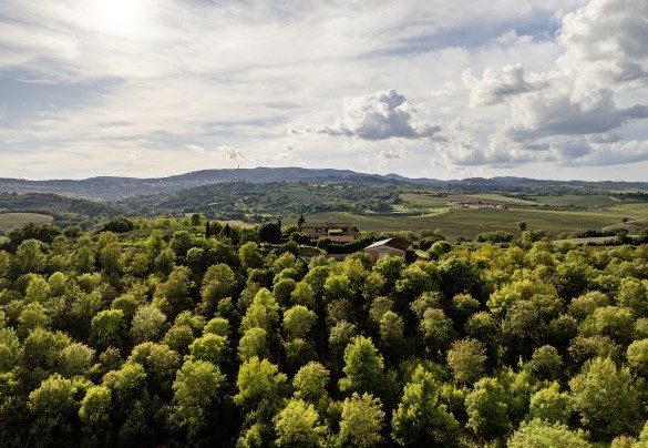 Gli inconfondibili paesaggi a perdita d'occhio della Val di Chiana - Podere Gellino