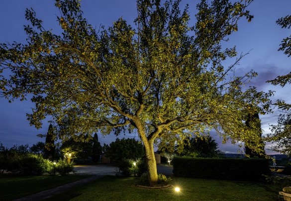 Il parco nelle luci della sera - Podere Gellino