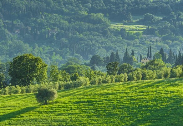 The greenery of the panorama surrounds the structure - Podere Gragnano