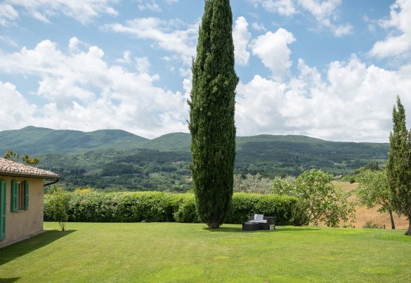Areas of soft English lawn surround the house - Podere Gragnano