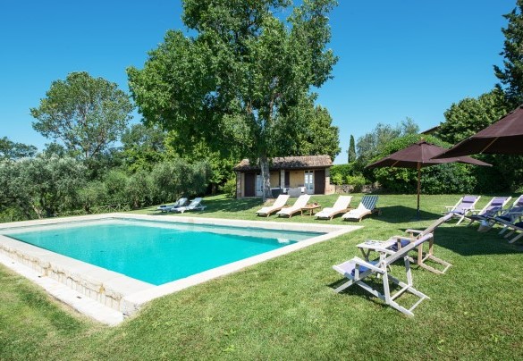 The charming pool and the sunbathing area - Podere Gragnano