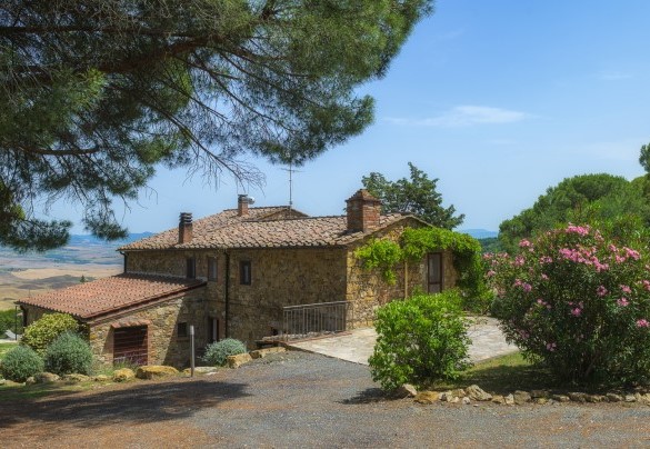 The parking area, shaded by tall pine trees – Podere Il Chiesino
