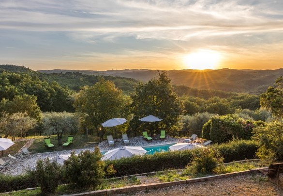La piscina abbracciata da un grande uliveto - Podere Le Corone   