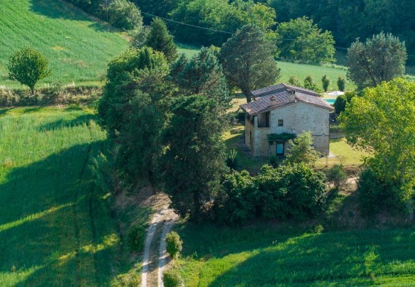 La villa è circondata da verdi prati ed alberi ad alto fusto - Podere Madonna di Mezzo