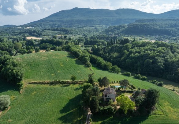 Veduta panoramica della villa e della piscina - Podere Madonna di Mezzo