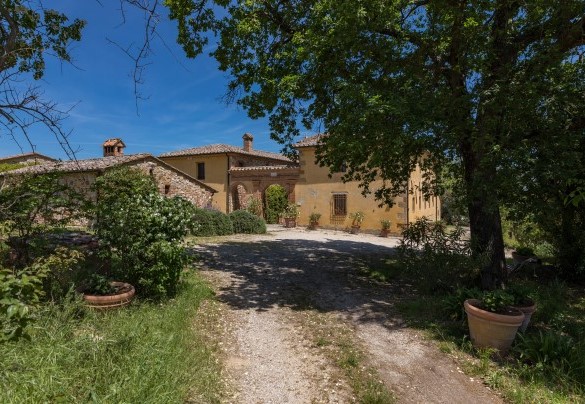 Il vialetto d'accesso sterrato - Podere Pratovecchio