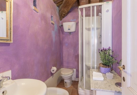 The en-suite bathroom with a shower on the tower - Podere Pratovecchio