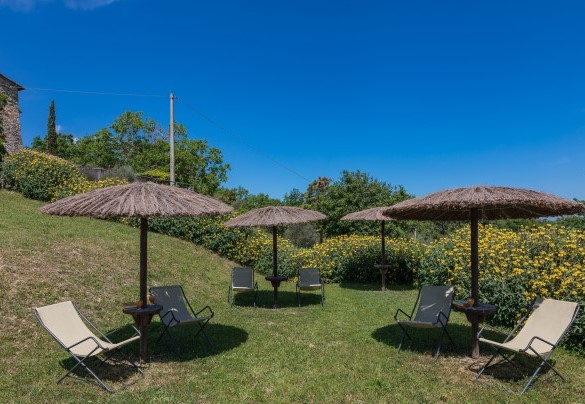 Sul solarium circostante sono posizionati lettini, sdraio, ombrelloni e la doccia con acqua fredda – Podere San Ansano