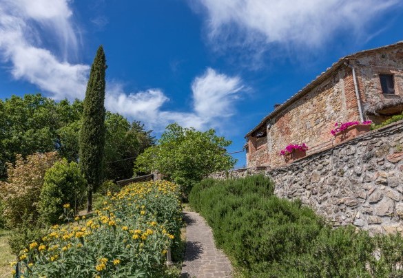 Il vialetto contornato da piante aromatiche che va dalla piscina alla casa – Podere San Ansano 