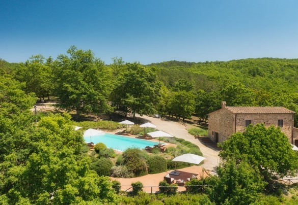 Podere Santa Croce is surrounded by wooded areas and extends over a terrain of 1,7 hectares – Podere Santa Croce