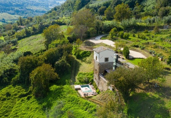 Il parco è di circa 1,5 ettari e si sviluppa su più terrazzamenti di origine etrusca - Podere Torre delle Sorgenti