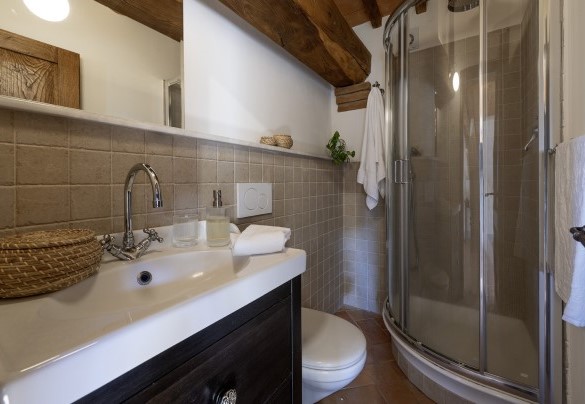 Bathroom with shower no. 5 in the annex (apartment 2, first floor) - Podere Vernine di Sotto