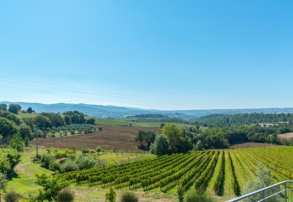  La zona di confine tra la regione umbra e la Toscana, a pochi passi da Chiusi - Poderina dei Poggi