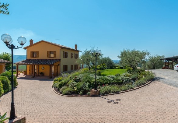 Il vialetto di ingresso - Poderina dei Poggi