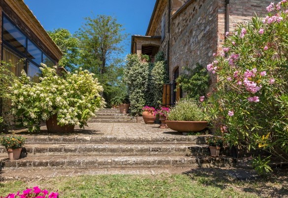 An extensive variety of plants dominates the garden - Poderino
