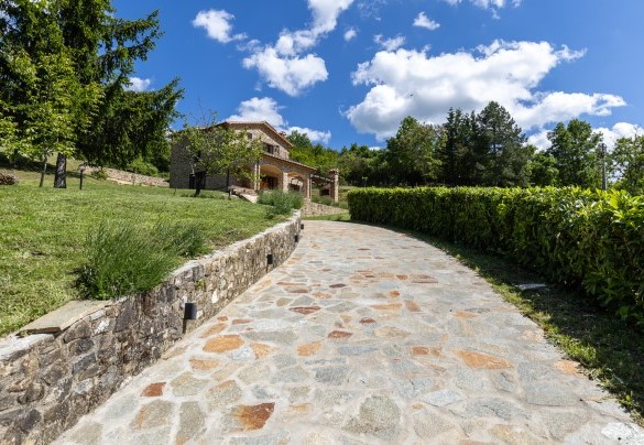 The paved driveway - Poggio delle Lumie