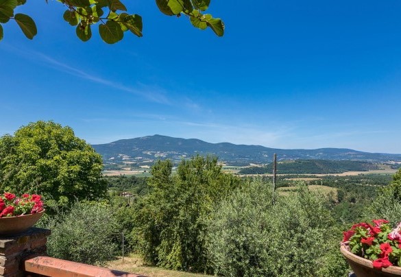 Unique panorama visible from the dining table under the Kiwi pergola - Poggio Medei