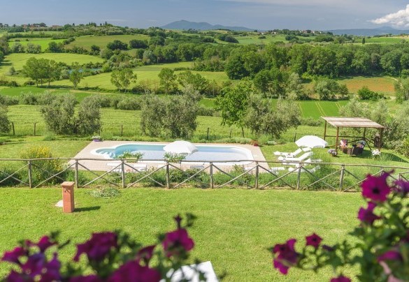 The nice pool immersed in the green park, the equipped solarium  - Poggio Vistabella 10