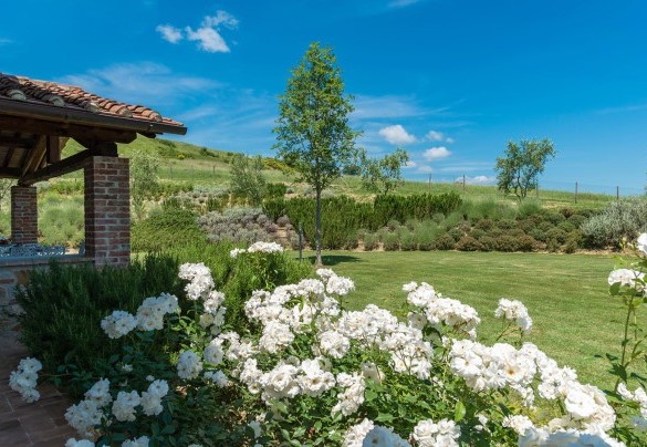 Parco fiorito attorno al casale - Rosa dei Venti 8