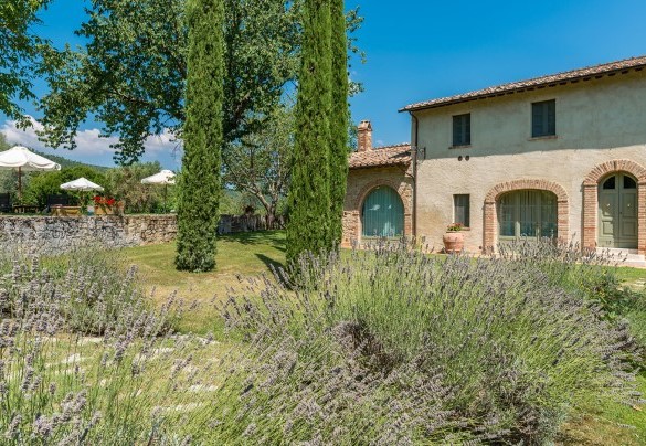 Lavender populates the garden - San Francesco