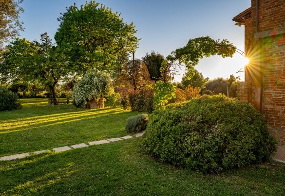At the rear of the villa there is a varied flat garden - Sangiovese